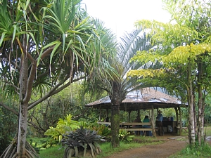 0422  hut.jpg
